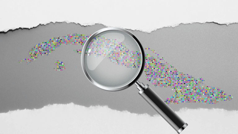 Reporte de Violacion- Agosto 2025